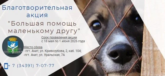 С 18.05.2026 по 01.06.2026 года МКУ АМО СРН «Совет» проводит благотворительную акцию по...