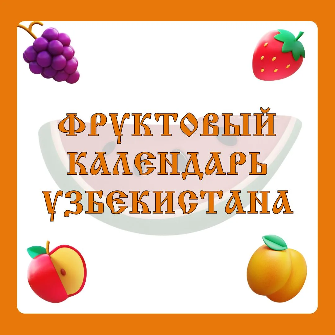 Фруктовый календарь Узбекистана: когда ехать за самым вкусным? 🍉  Это не просто сбор урожая, а насто
