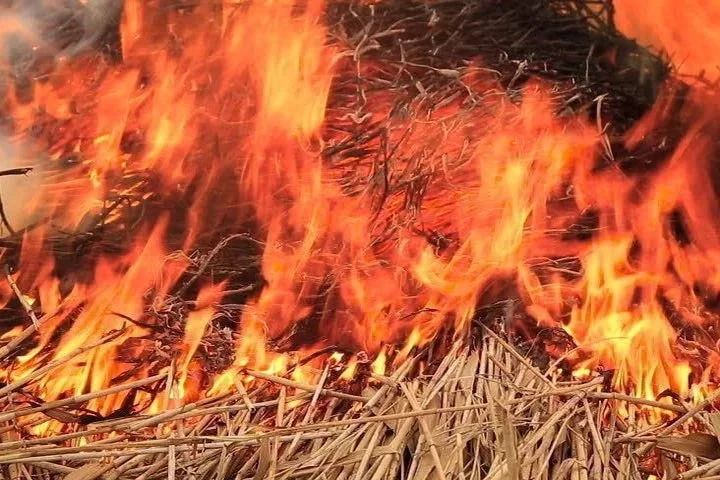 В Эжве из‑за неосторожного обращения с огнём двое подростков устроили пожар — сгорело 6...