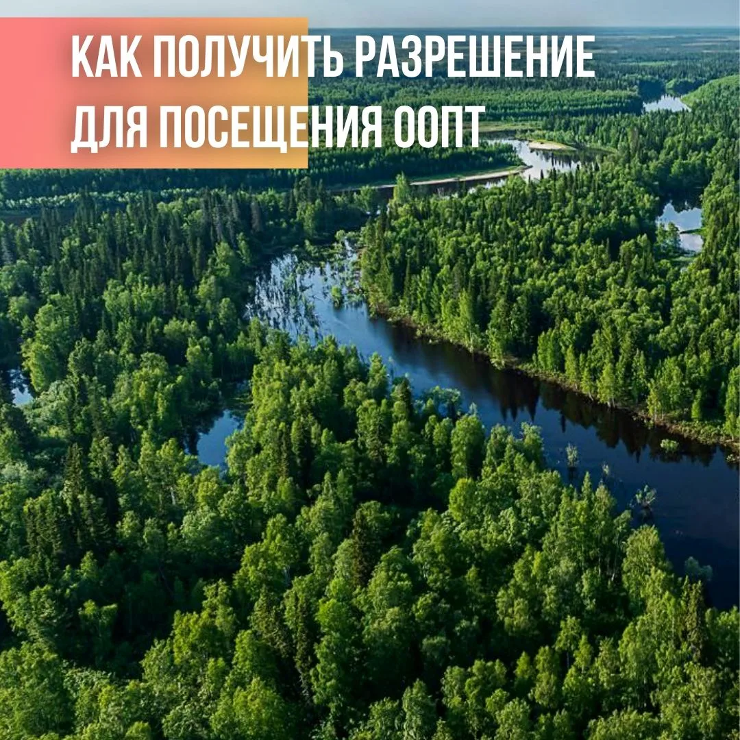 Как попасть в «Ингилор» и другие ООПТ?

На Ямале есть множество удивительных природных уголков, кото