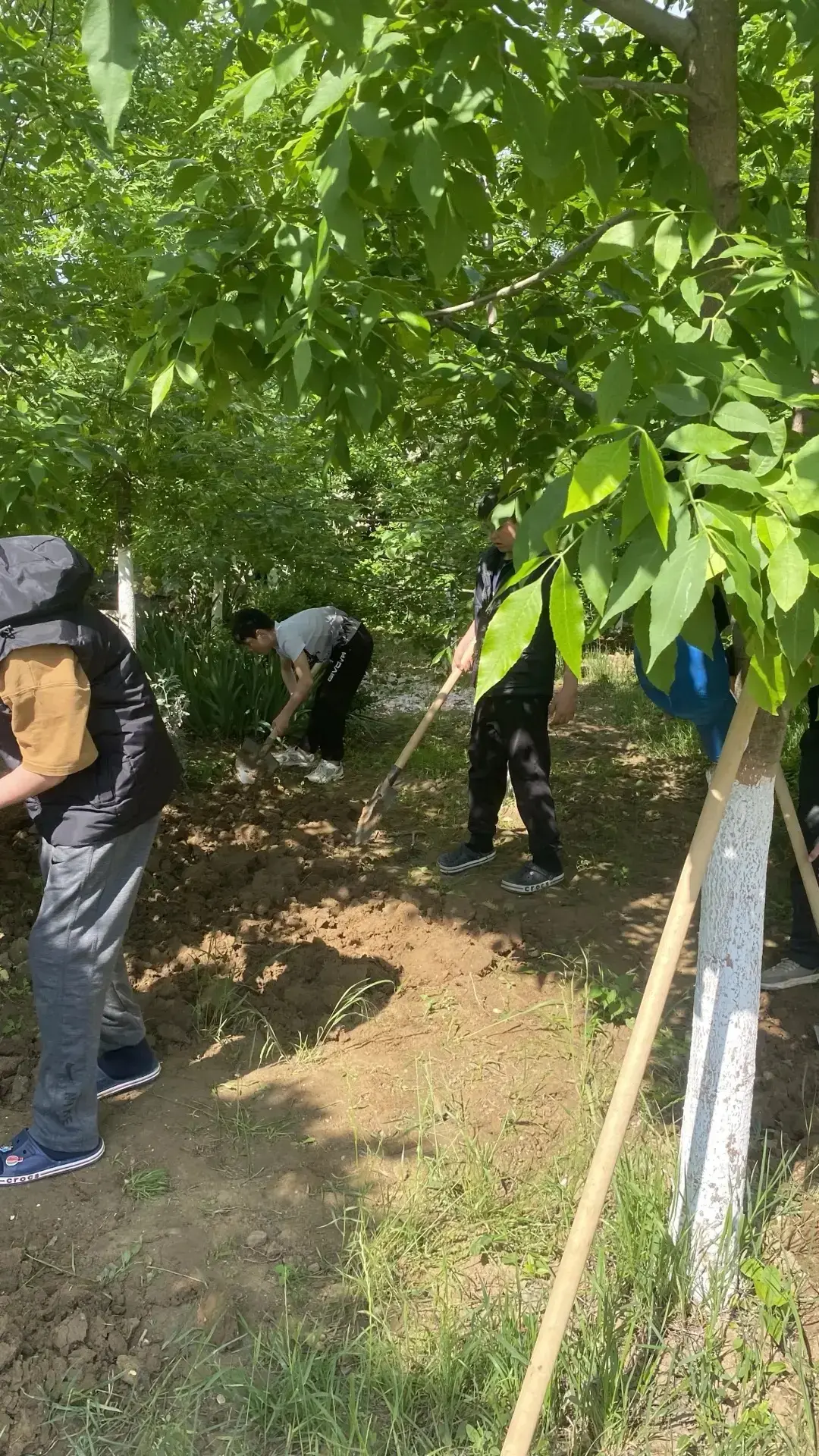 Учащиеся 7 «Б» класса приняли участие в субботнике 24.05.2026г.