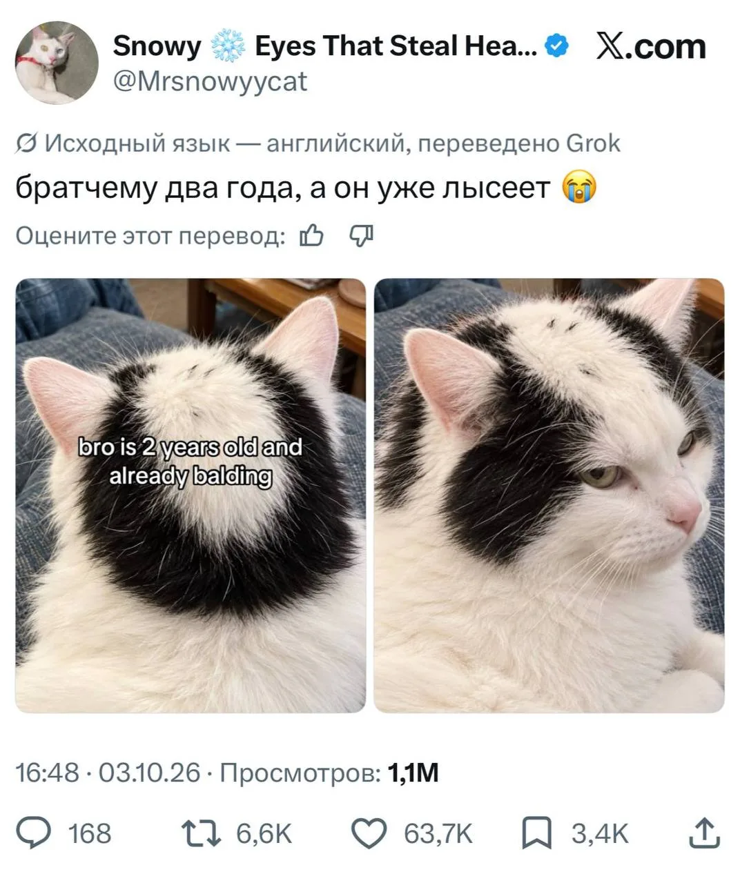 Любой уважающий себя мужчина, когда стукнуло 18 лет