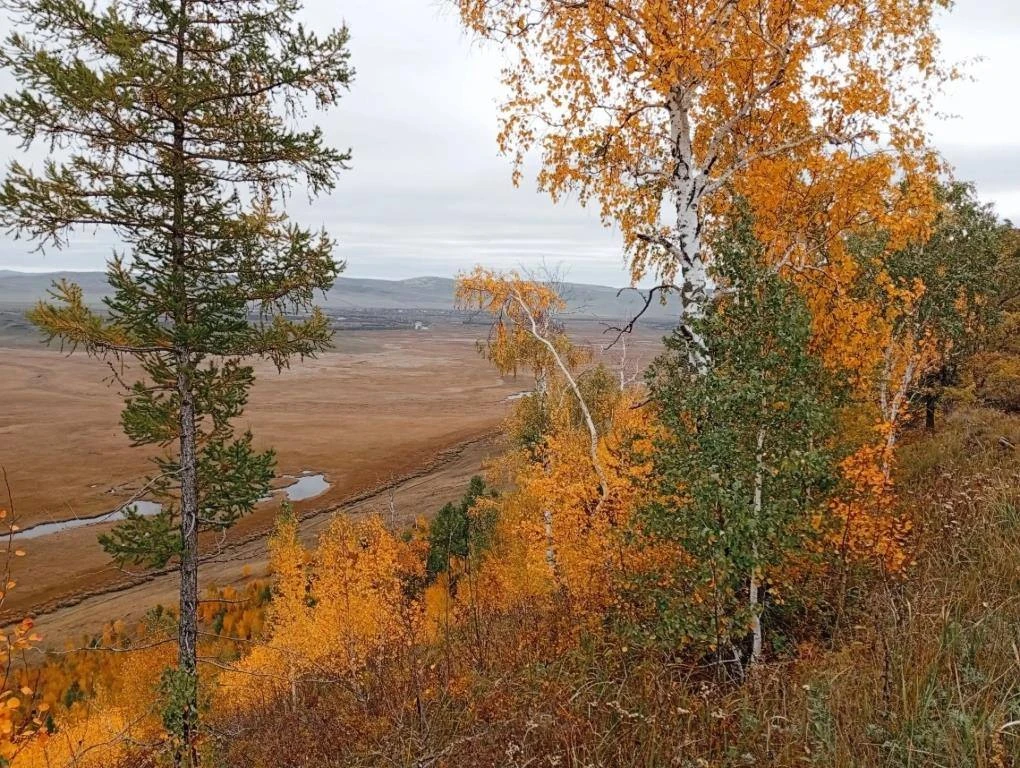🍁 Календарная осень в самом разгаре. Природа продолжает радовать своей палитрой.