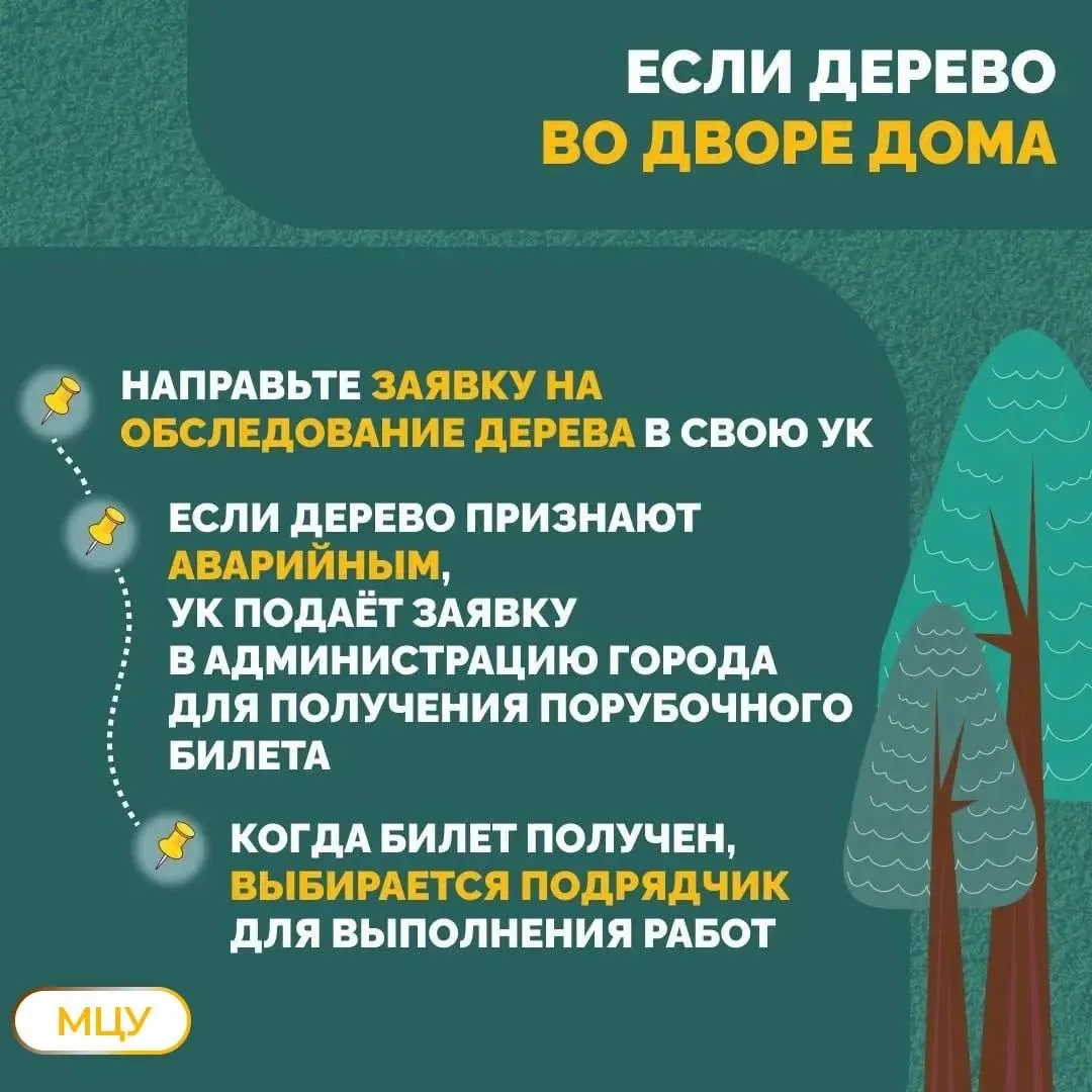 📍 Краснодар, внимание!