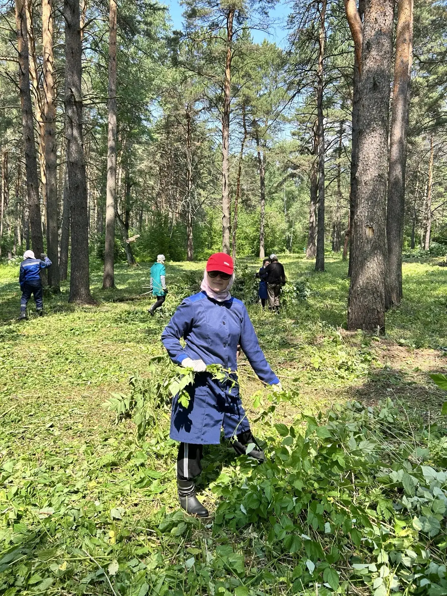 🌿 В нашей гимназии продолжается интенсивная подготовка к летнему оздоровительному сезону! Благодаря