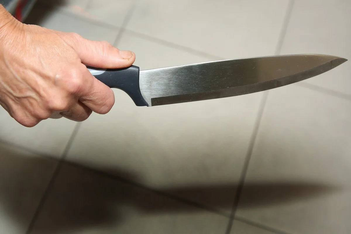 🔴 В Чикаго женщина зарезала семилетнюю девочку посреди улицы