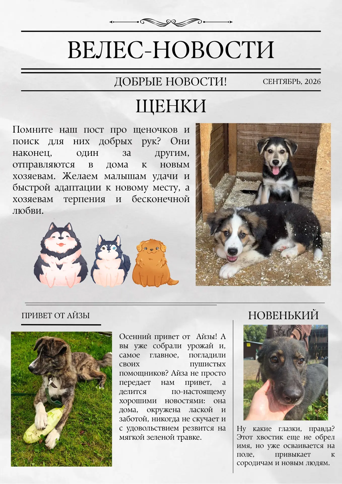 В эфире еженедельная рубрика — новости «Велеса» ♥️🐶