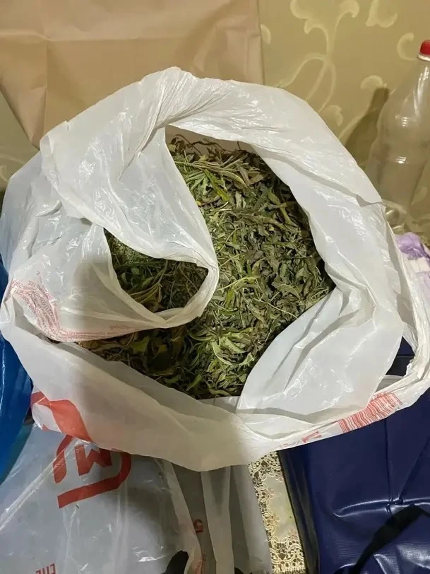 Транспортная полиция Минеральных Вод пресекла незаконный оборот наркотиков 🌿