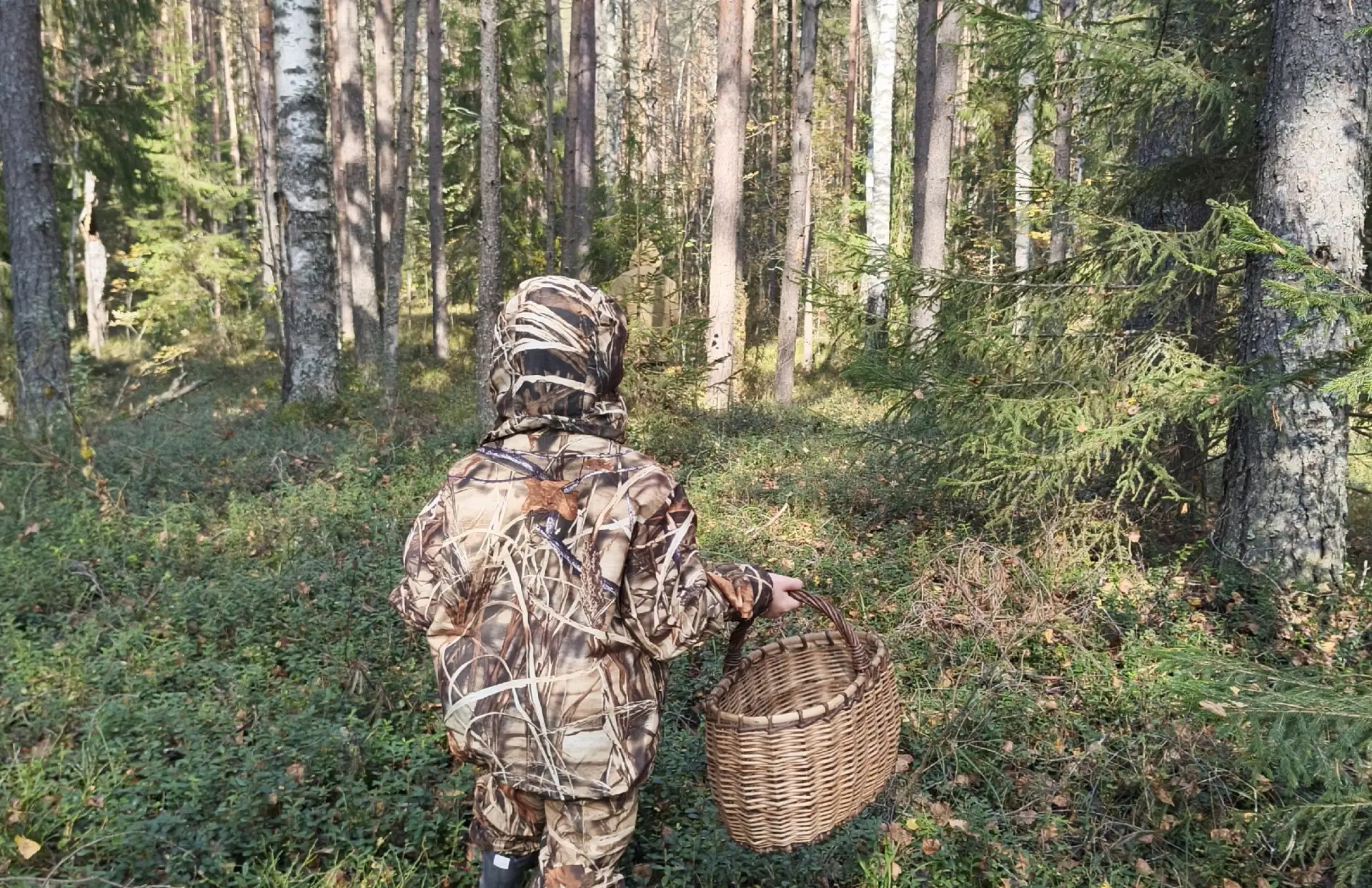 3 октября в Великих Луках +4…+17°С. Облачно с прояснениями.