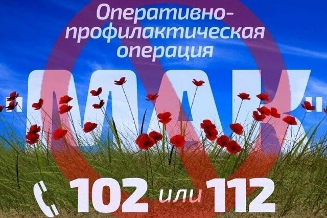 ✴️В Ростовской области запланировано проведение двух этапов оперативно -профилактическо...