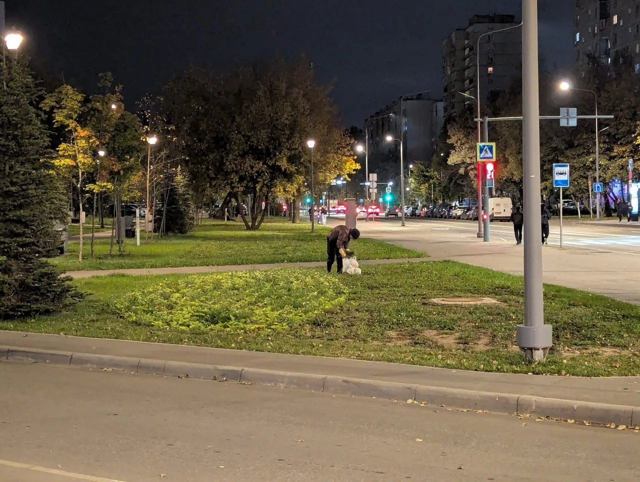 👎У метро «Бибирево» соседи поймали женщину на том, что она в большом количестве выкапы...
