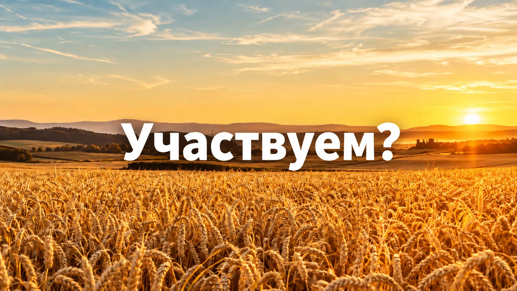 🌾 ОЗК НАЧАЛА ПОДТВЕРЖДЕНИЕ СТАТУСА АГРАРИЕВ ДЛЯ УЧАСТИЯ В ЗЕРНОВЫХ ИНТЕРВЕНЦИЯХ