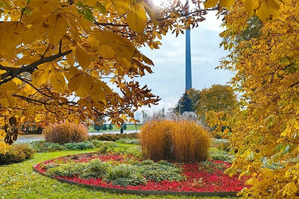 🍂 Парк Победы окрасился в жёлтые краски