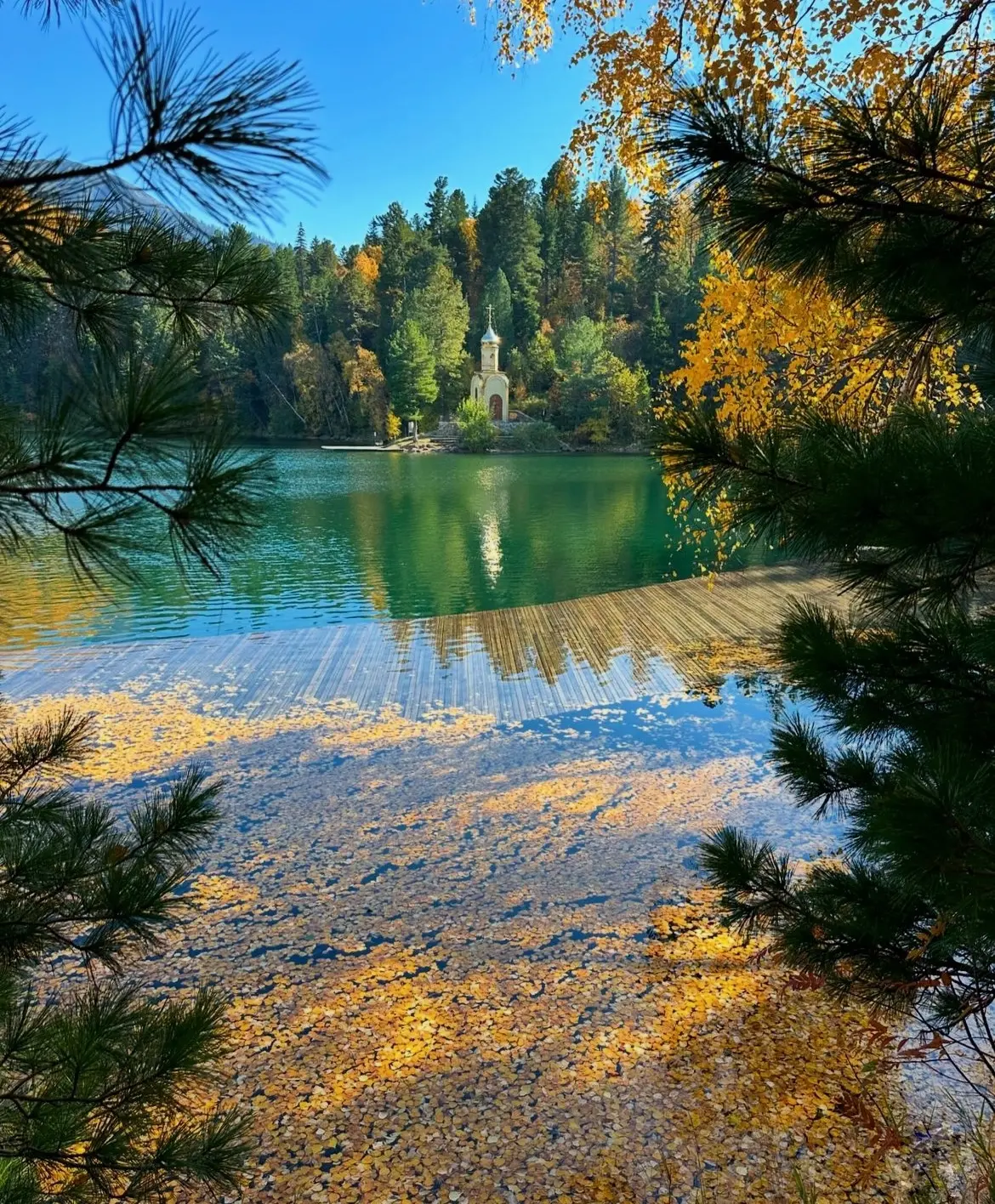 Теплые озера завораживают своей красотой🏞️🦢😍