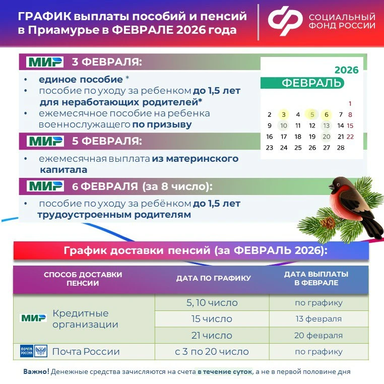 ‼️ ГРАФИК ДОСТАВКИ выплат от Отделения СФР по Амурской области в ФЕВРАЛЕ 2026 года  3 ФЕВРАЛЯ 💳 ✅ ед