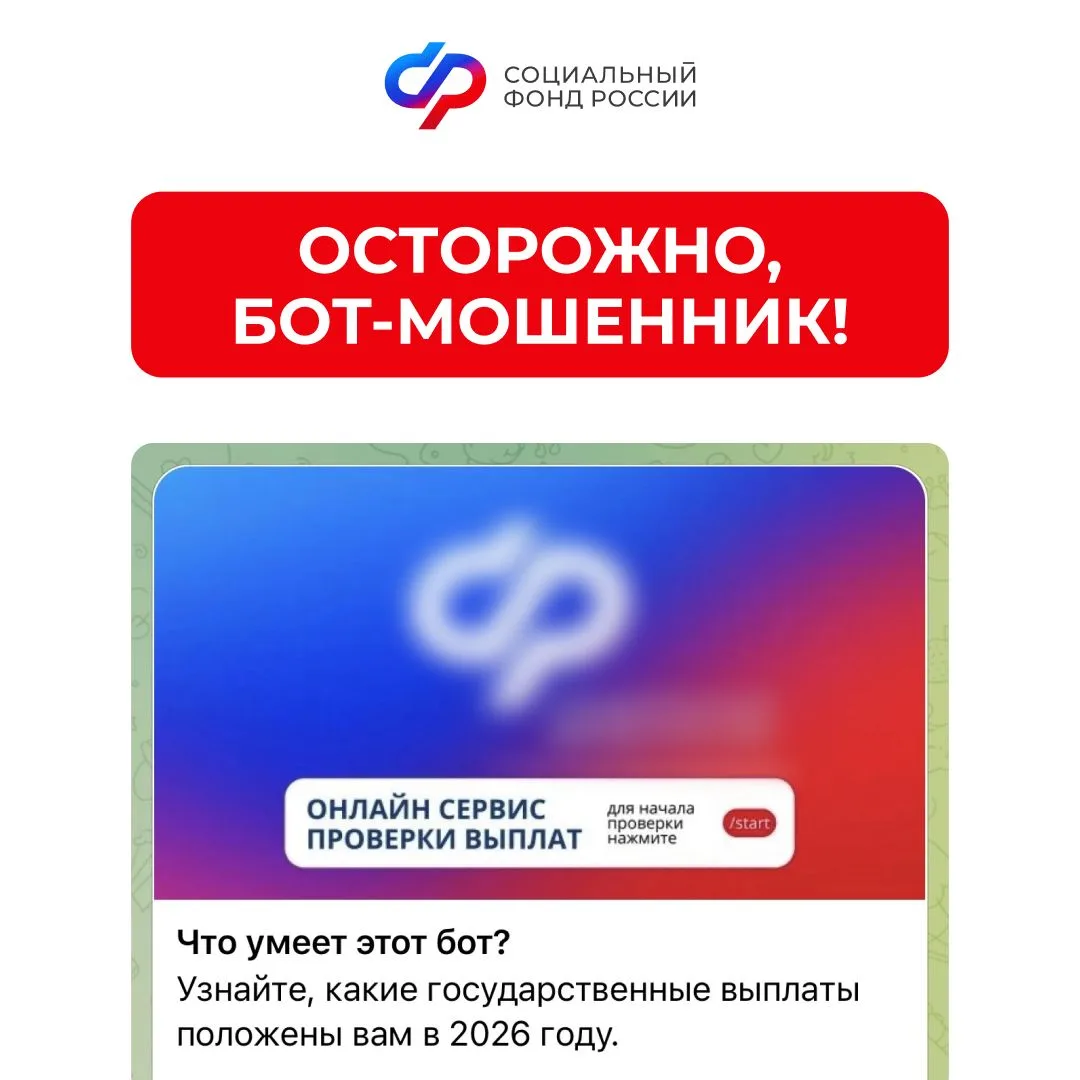 СФР предупреждает: мошенники используют телеграм-бот, который обещает выплаты от Соцфонда