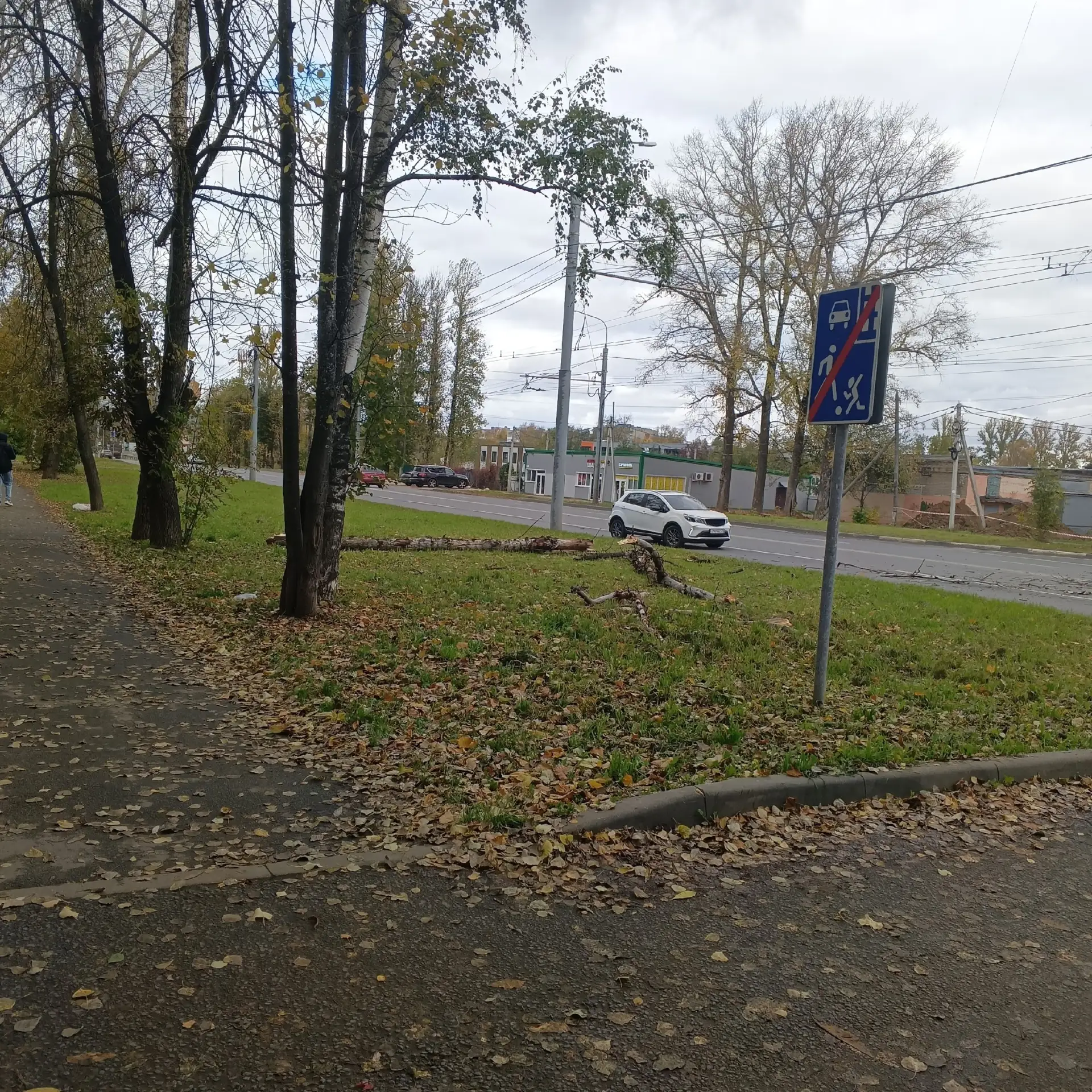 На Тутаевском шоссе в районе 5 поликлиники около 13:30 упало дерево.