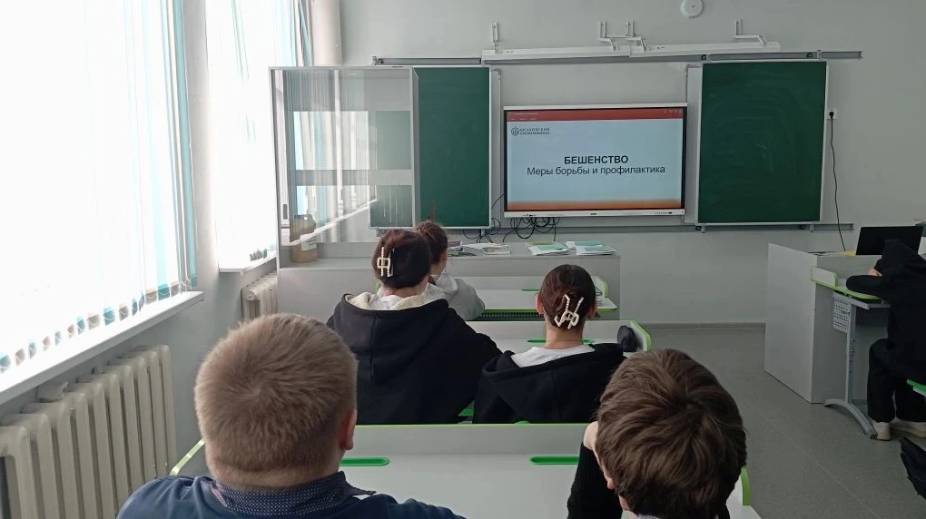 Бешенство- смертельно опасное вирусное заболевание,  поражающее центральную нервную систему. Пути пе