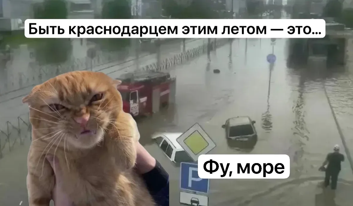 Быть краснодарцем — это уметь быть гибкими и быстро перестраиваться. 

Ведь утром тебя может раздраж