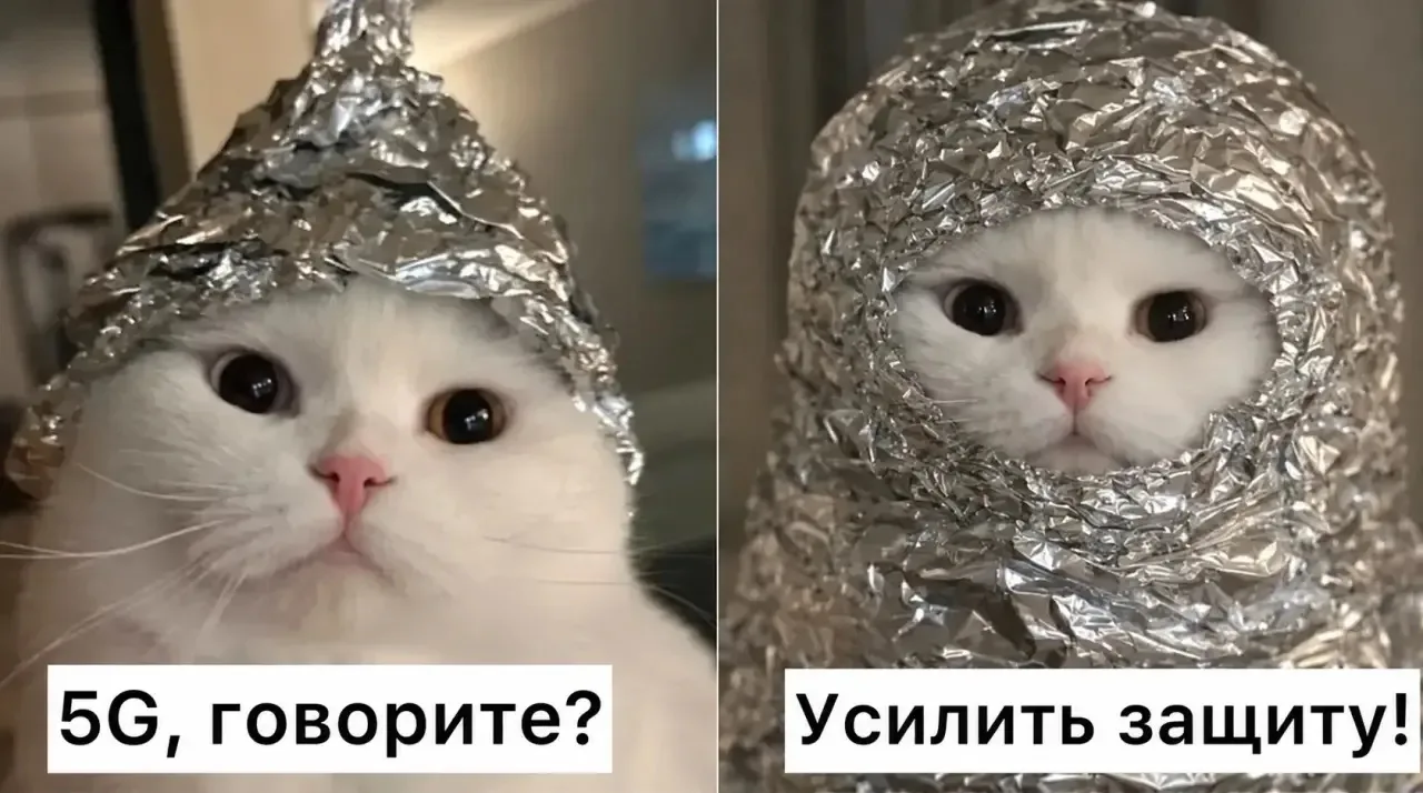 Субботнее утро в нашем домовом чате началось не с кофе, а с тектонического сдвига.