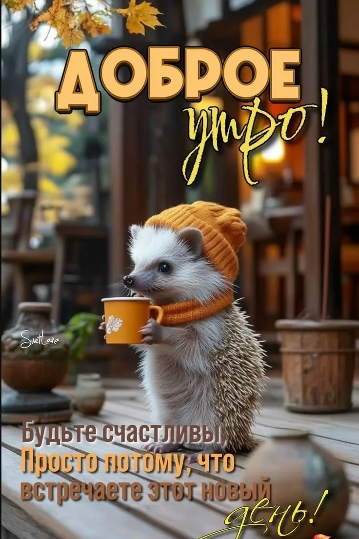 Предложить новость