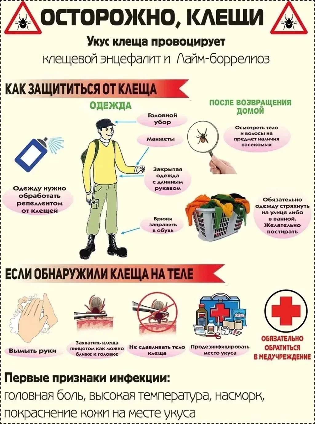 Друзья, обращаем ваше внимание! Наступили тёплые дни, а вместе с ними активизировались и клещи. От у