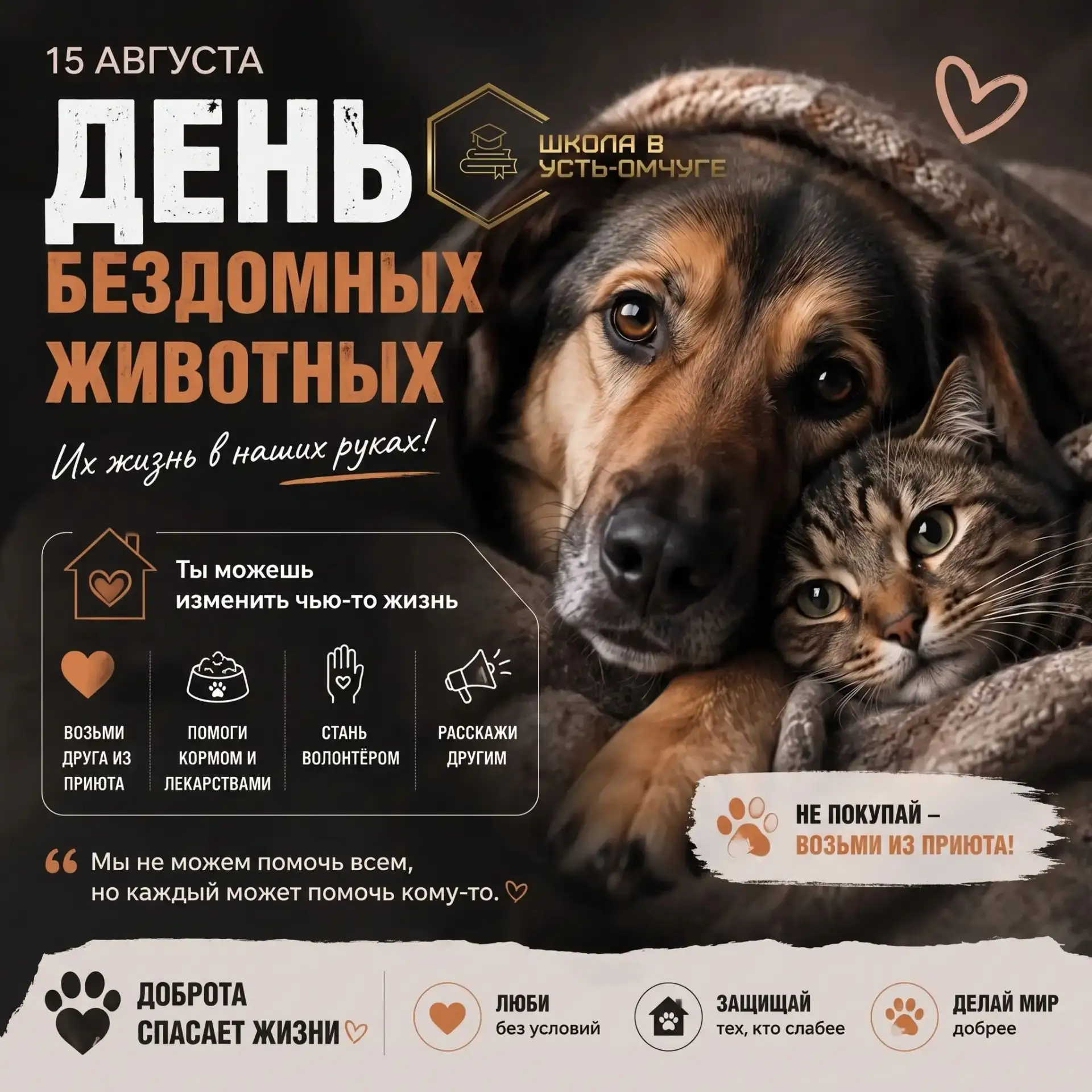 Сегодня — Международный день бездомных животных. Это повод вспомнить, что у каждого хво...