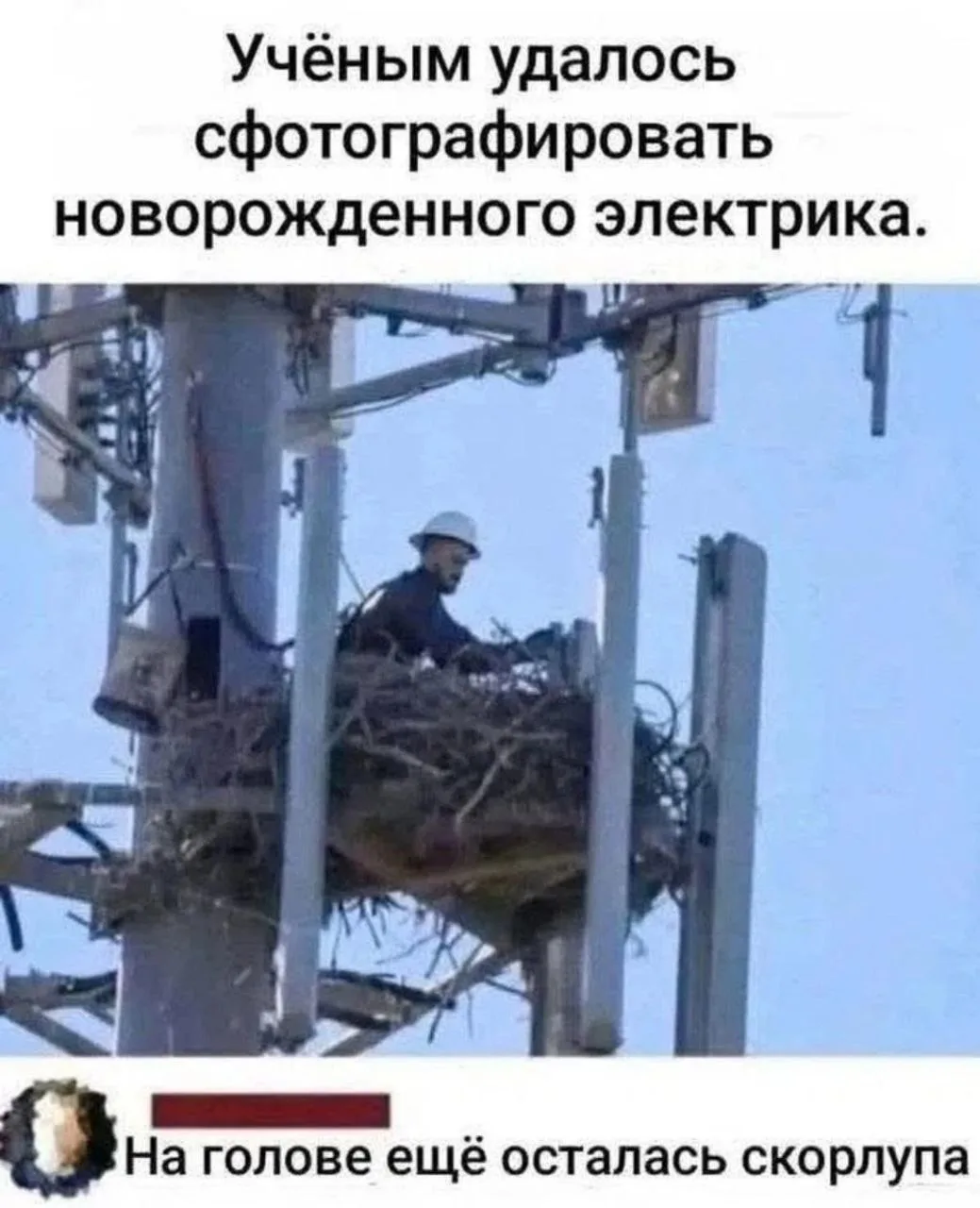 Петрович не вывозит!