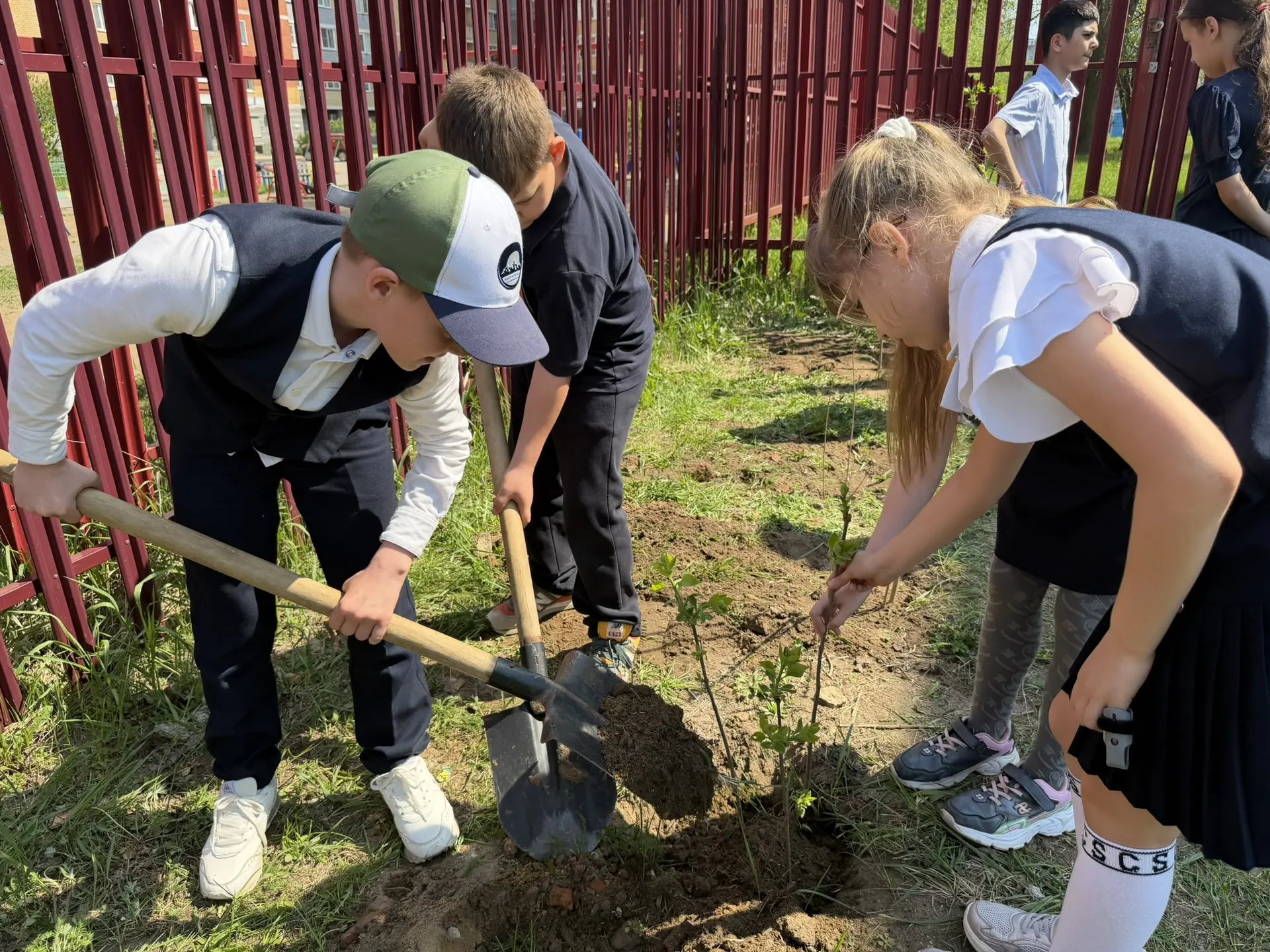 🌱 Сирень Победы: память, которая цветет  Сегодня 3в класс вместе с классным руководителем Натальей М