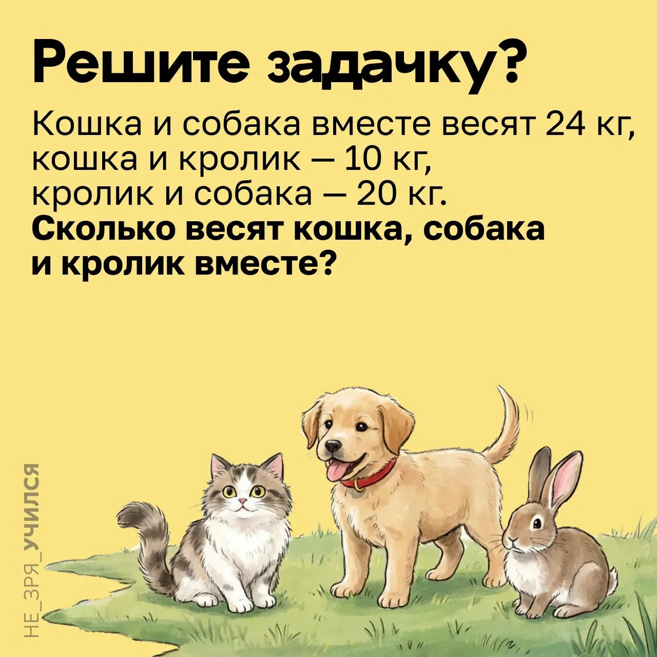 Голосуйте реакцией 🔽