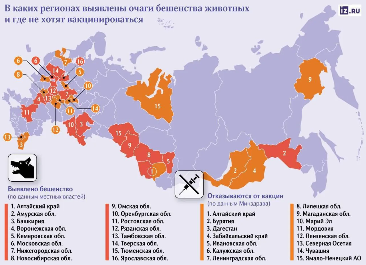 ⚡️Очаг бешенства обнаружили в Ленобласти — в России болезнь распространилась уже в 16 р...