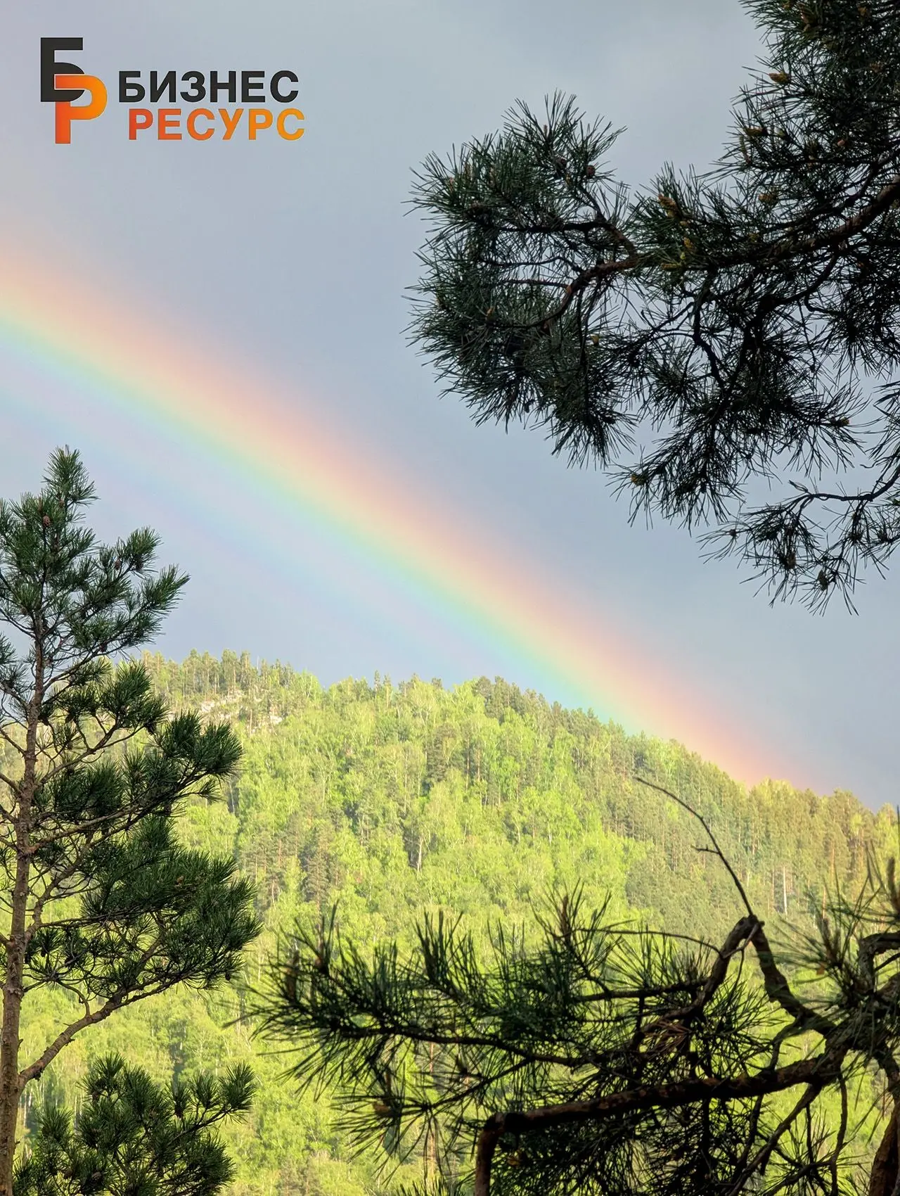 🌈 С добрым пятничным утром!