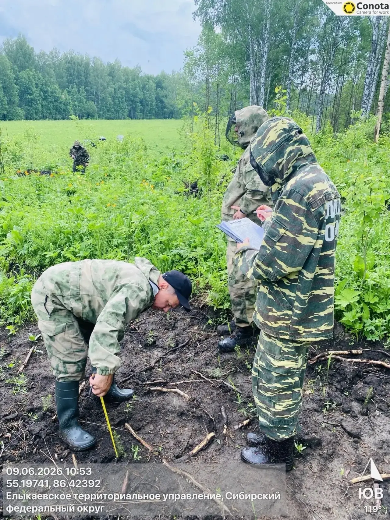 В Юргинском лесничестве начался важный этап — техническая приёмка работ по компенсационному лесовосс