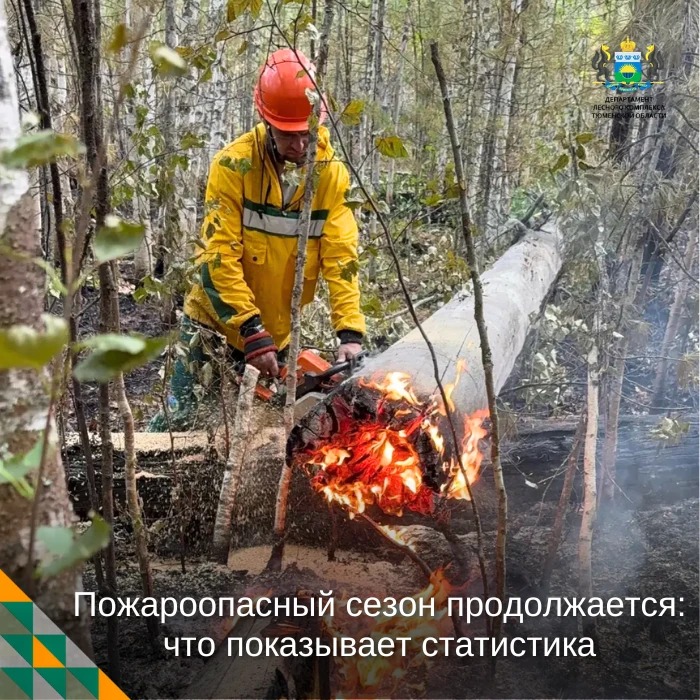 🔥 С начала пожароопасного сезона в Тюменской области ликвидировано 62 лесных пожара на...