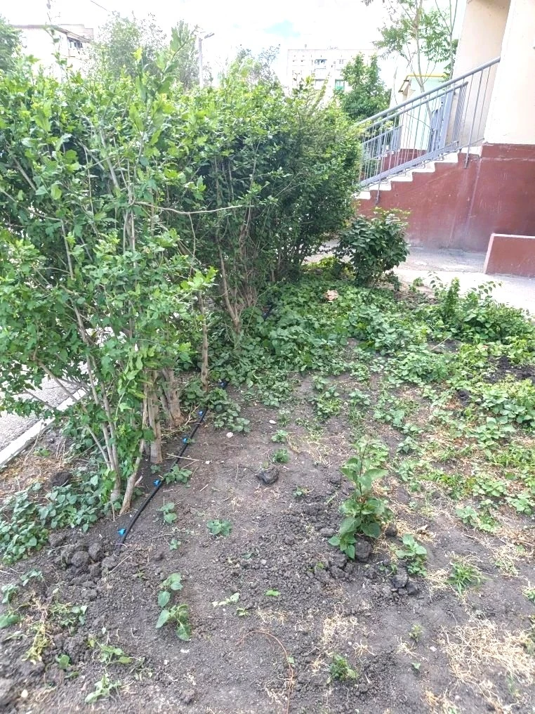 К новости «🌿 Зеленый оазис у дома: монтируем систему автополива!»