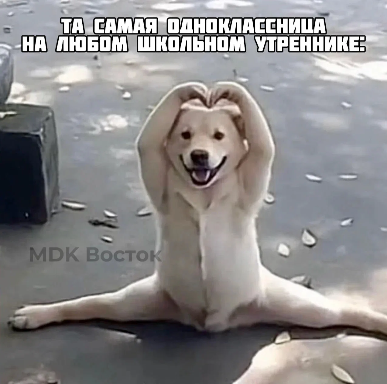 И все каждый раз в восторге

Подписаться в МАХ