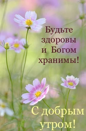 ❤️❤️❤️❤️Открытки❤️❤️❤️❤️
Теперь и в MAX