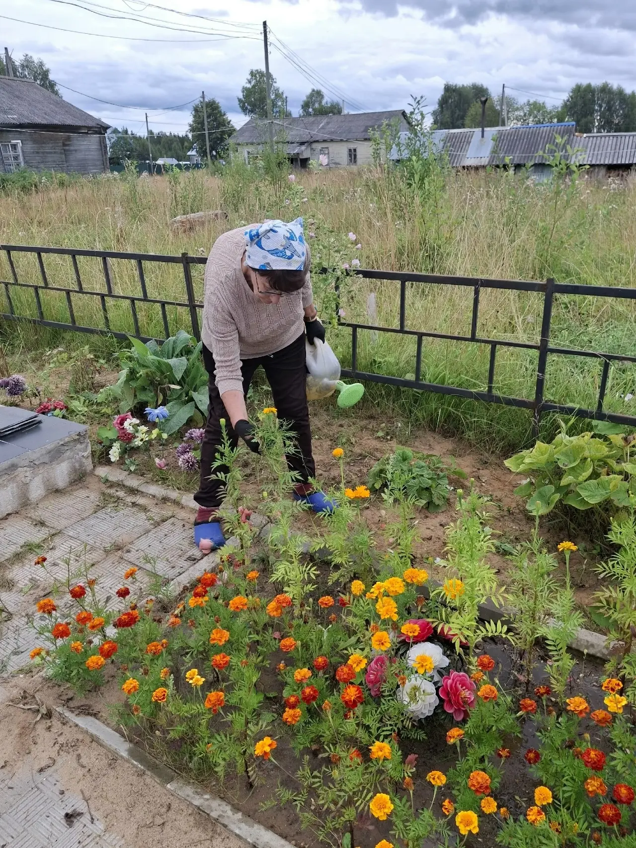 Совместный субботник в Кыддзявидзе
