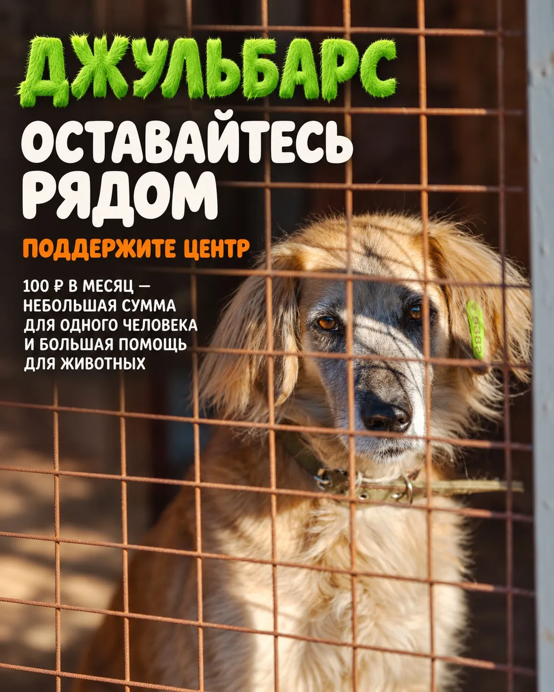 Срочные сборы спасают, когда беда уже случилась. Регулярная помощь позволяет встретить ...