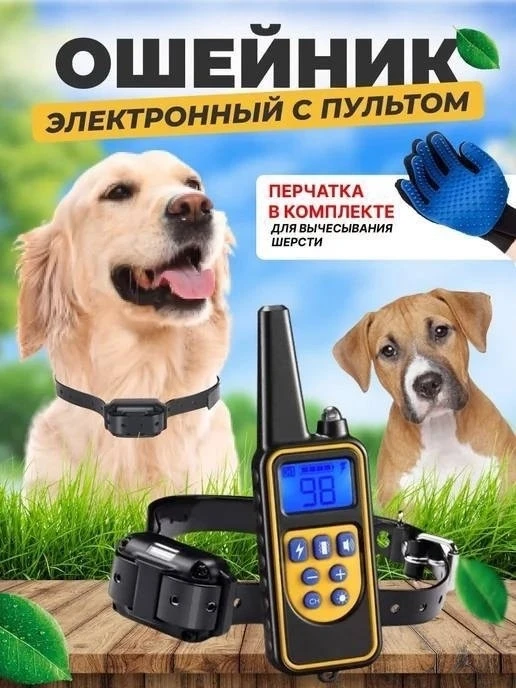https://vk.com/photo-184814919_493036958
