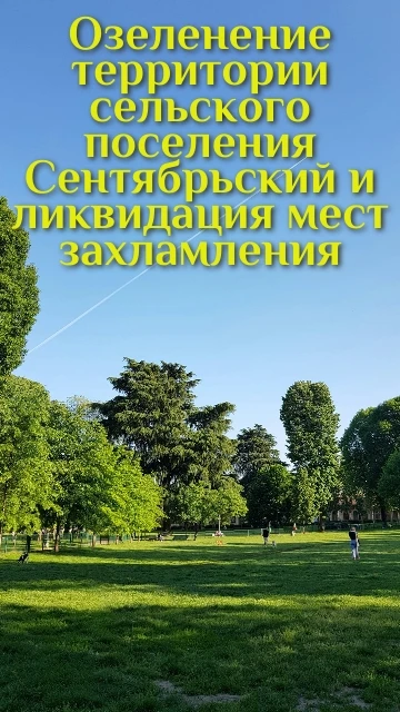 Контрольно-счётной палатой начато контрольное мероприятие по вопросу результативности (...