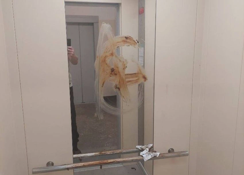 Намазали шоколадом зеркало в лифте, но воняет почему то не сладко. Если это сделали дет...