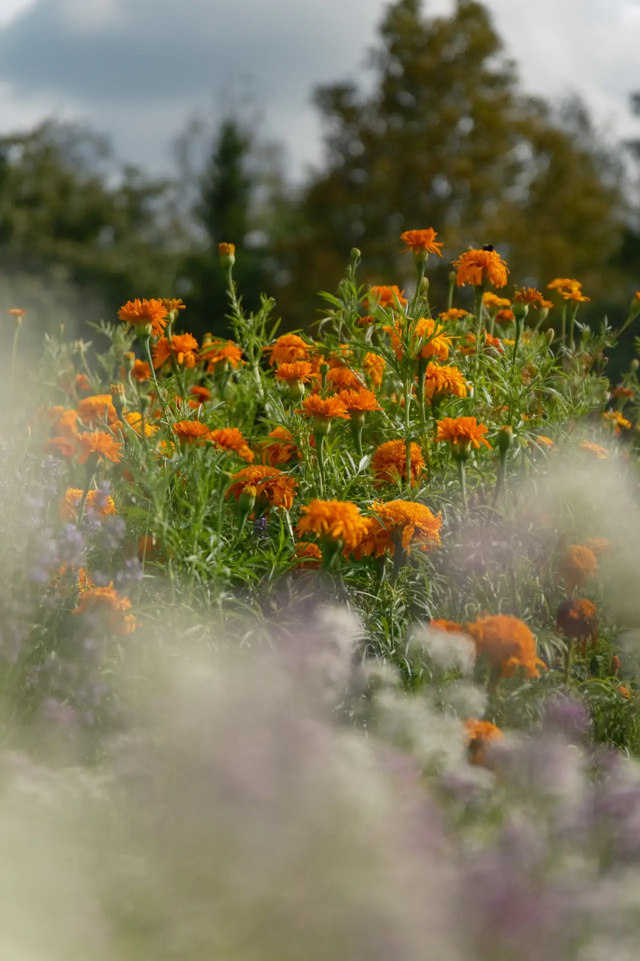 💐 По многочисленным просьбам продлили мастер-классы «Подарок Флоры» до конца сентября!