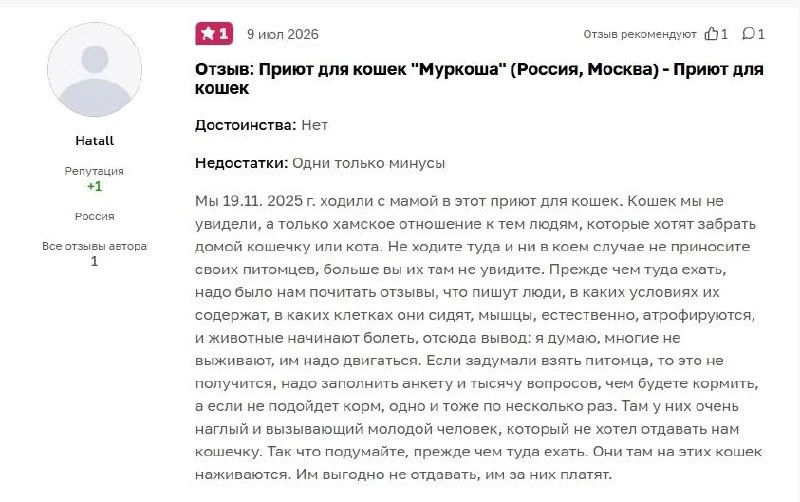 Вот уже хочется какой-то флешмоб провести, честное слово. «Опишите свой опыт визита в приют и сотруд