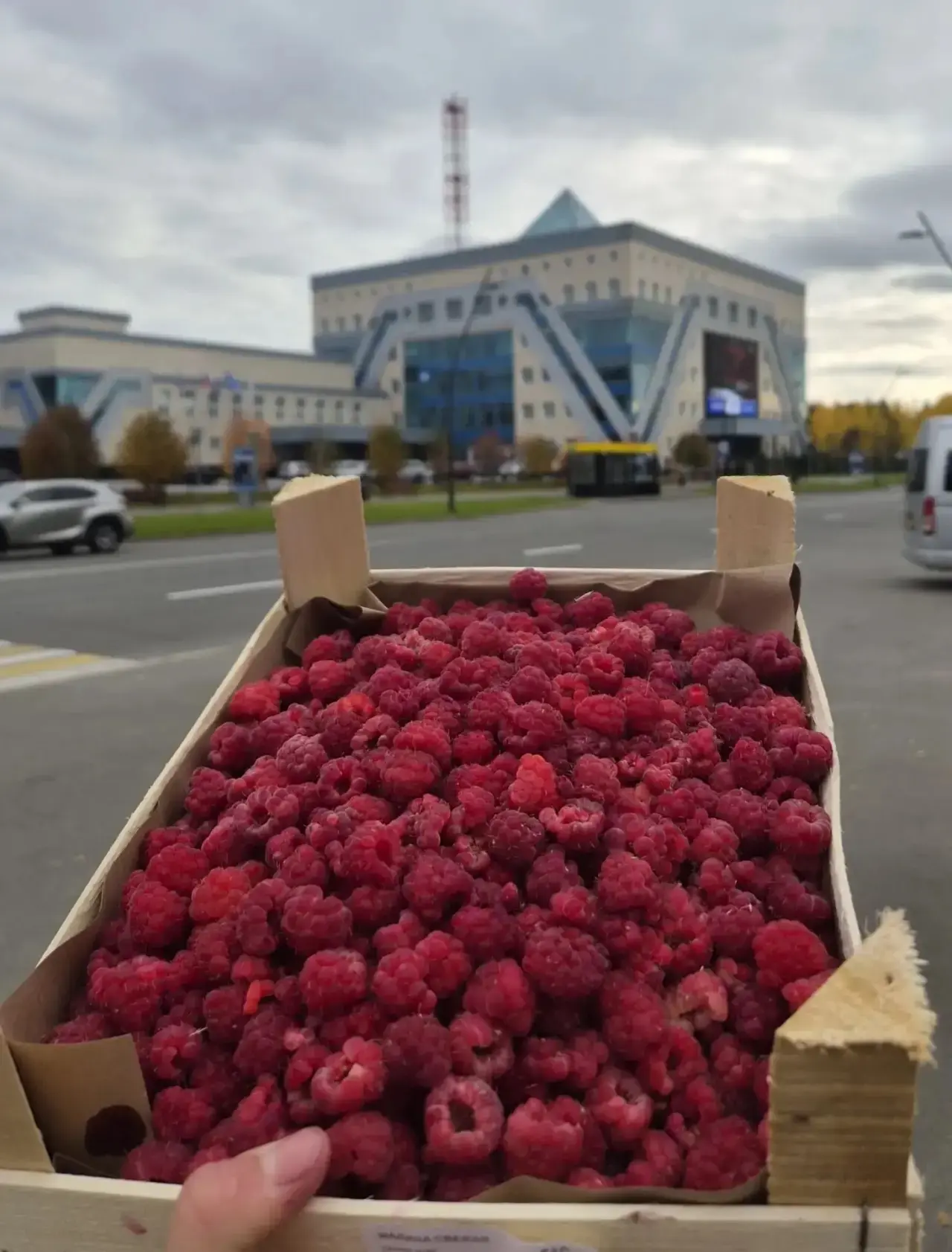 🍓✨️Доброго времени суток, дорогие друзья! Завтра, 3 октября, у нас свежее поступление ...