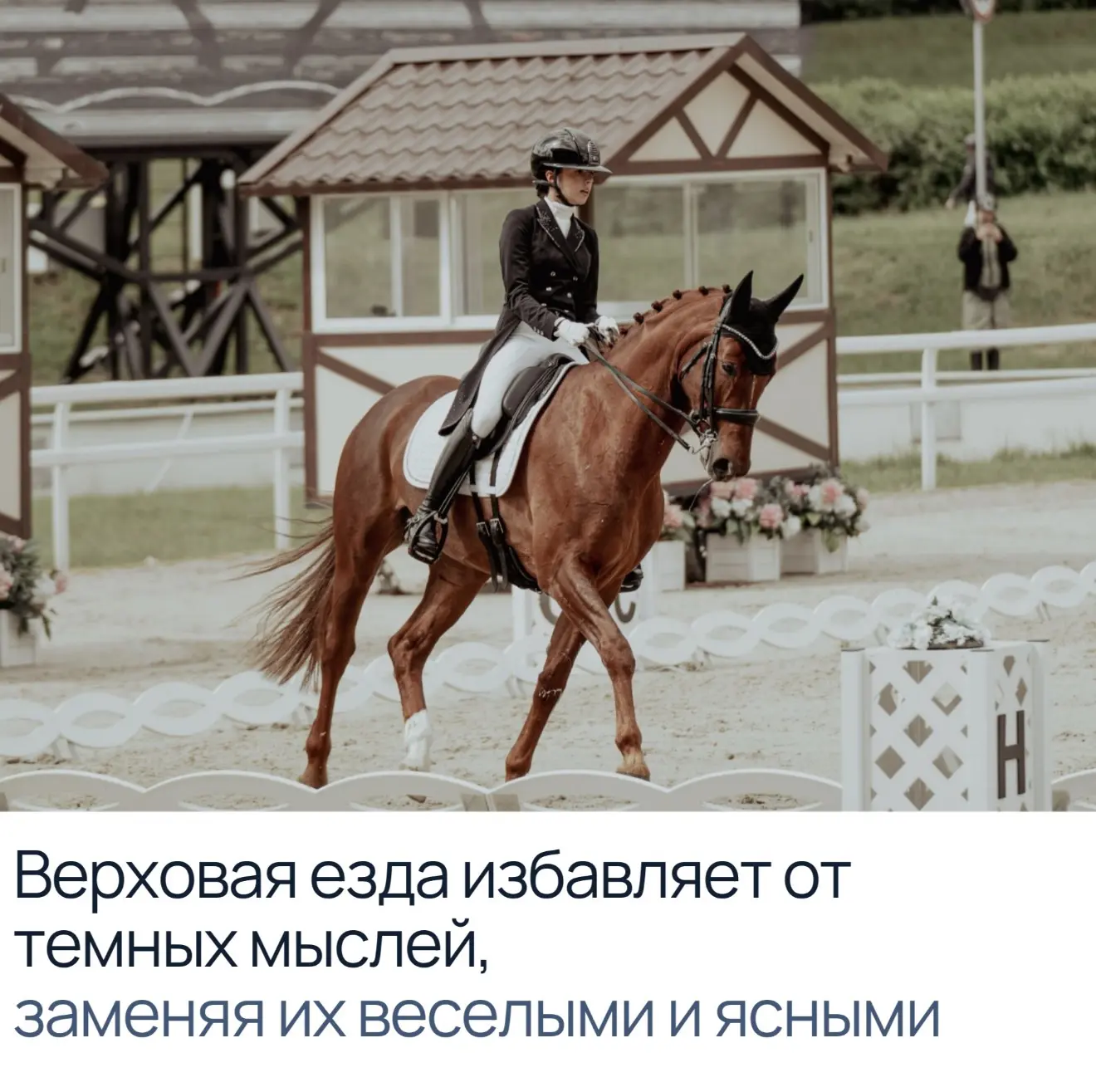 #КСКБитца #лошади ❤️