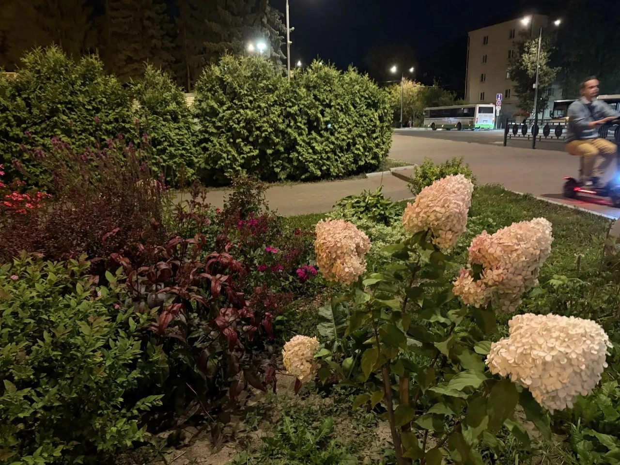 Доброго вечера! 🌙