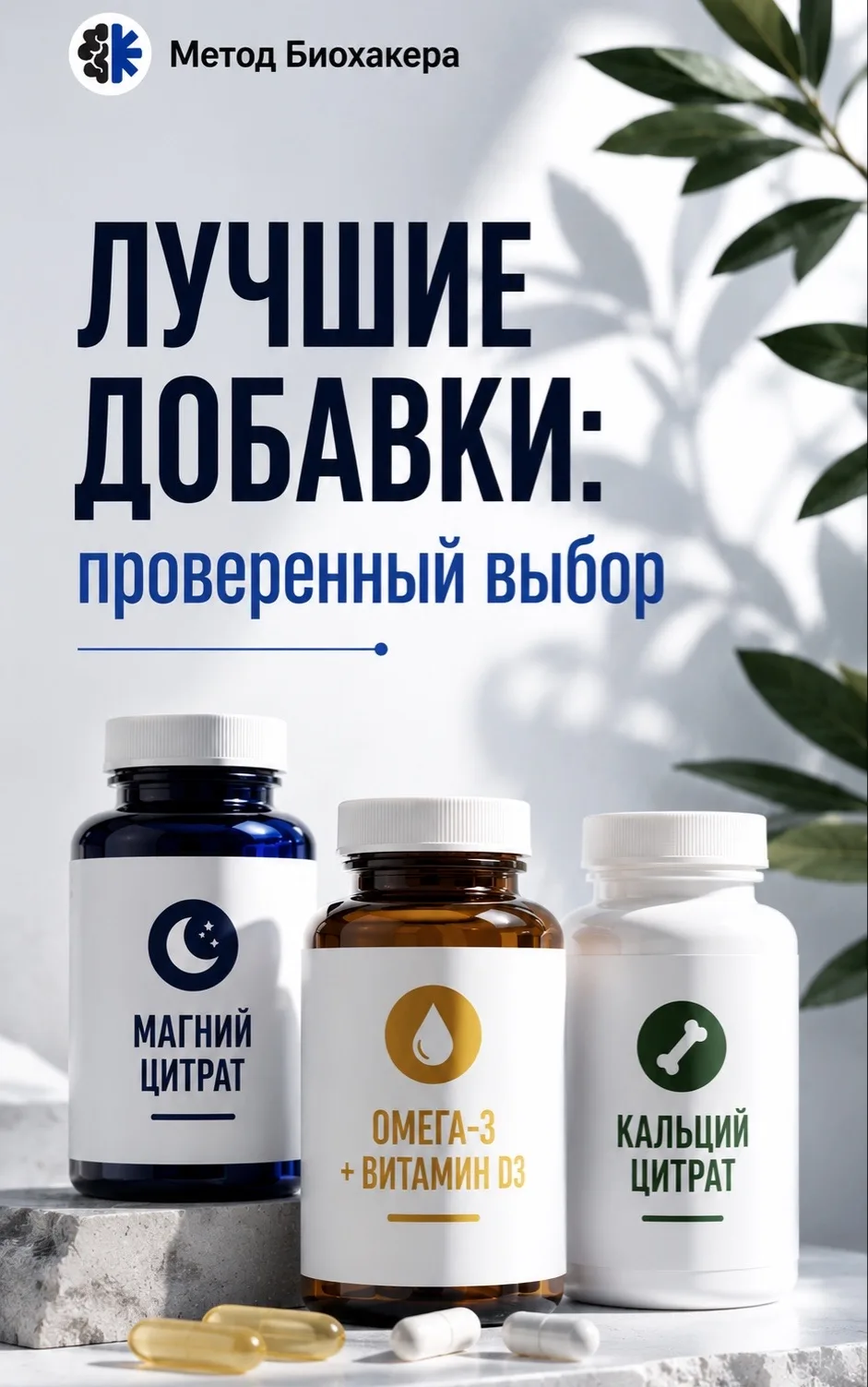 Изображение 1 к публикации «Метод Биохакера»