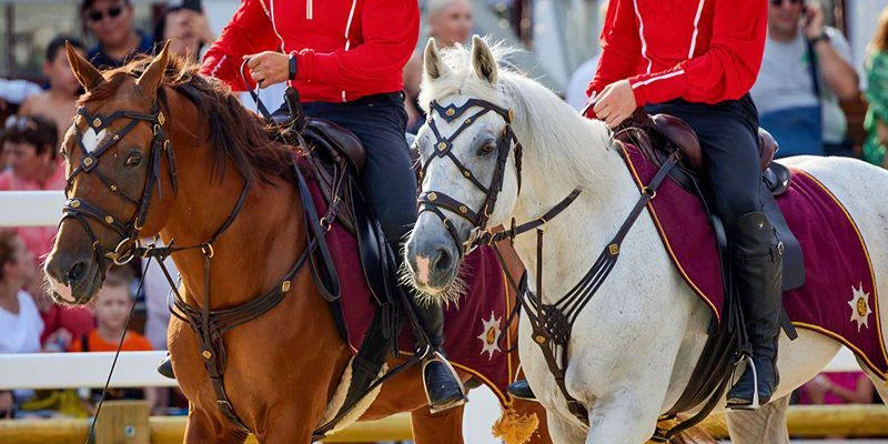 🐎 Лошади, казаки и старинная усадьба: бесплатный фестиваль в Люблино

С 19 по 21 июня в музее-усадь