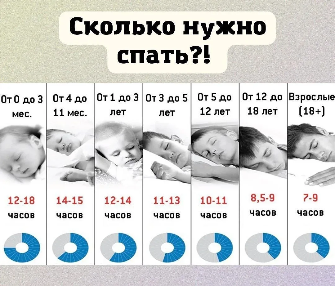 Сколько часов сна вам нужно? 🛌